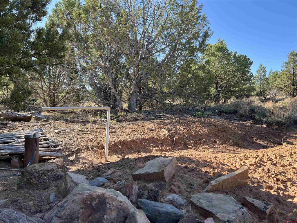 246 La Mesa Vista Drive