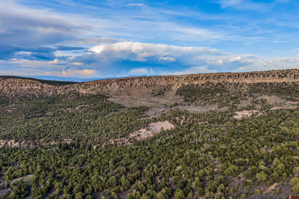 TBD Old Highway 90