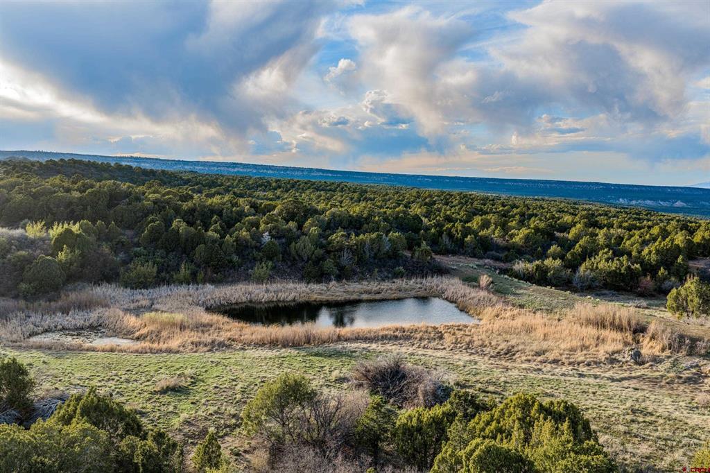TBD Old Highway 90