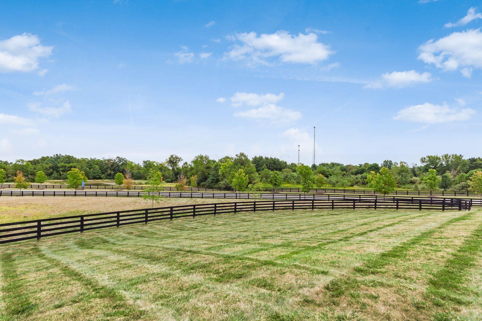 7983 Canopy Glen Drive