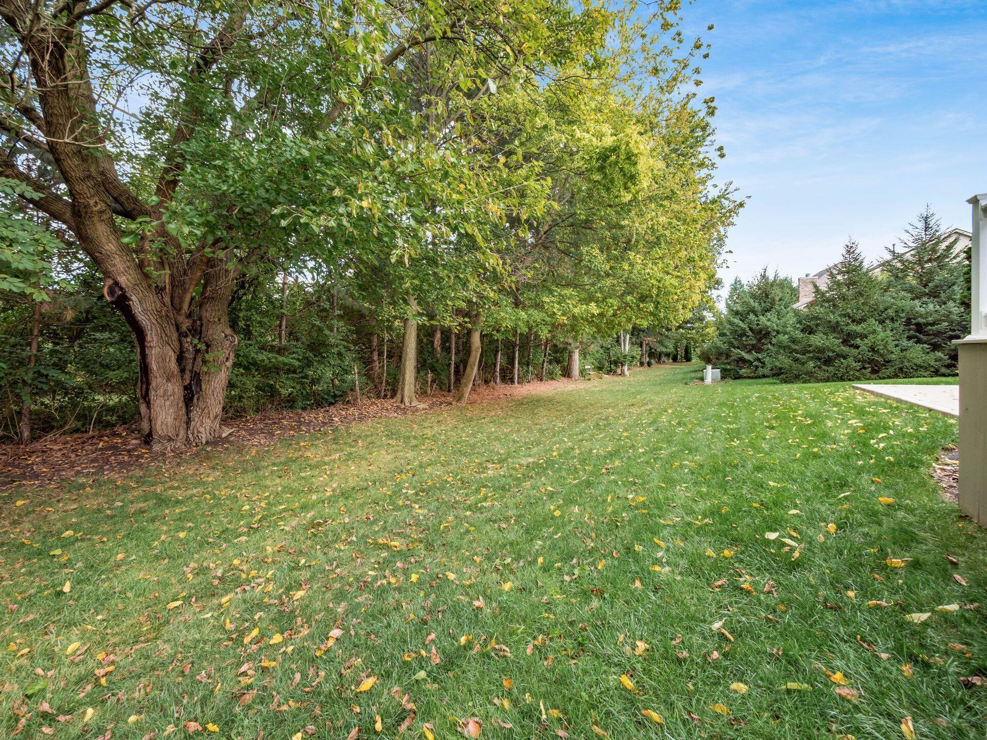 6504 Shadewater Drive