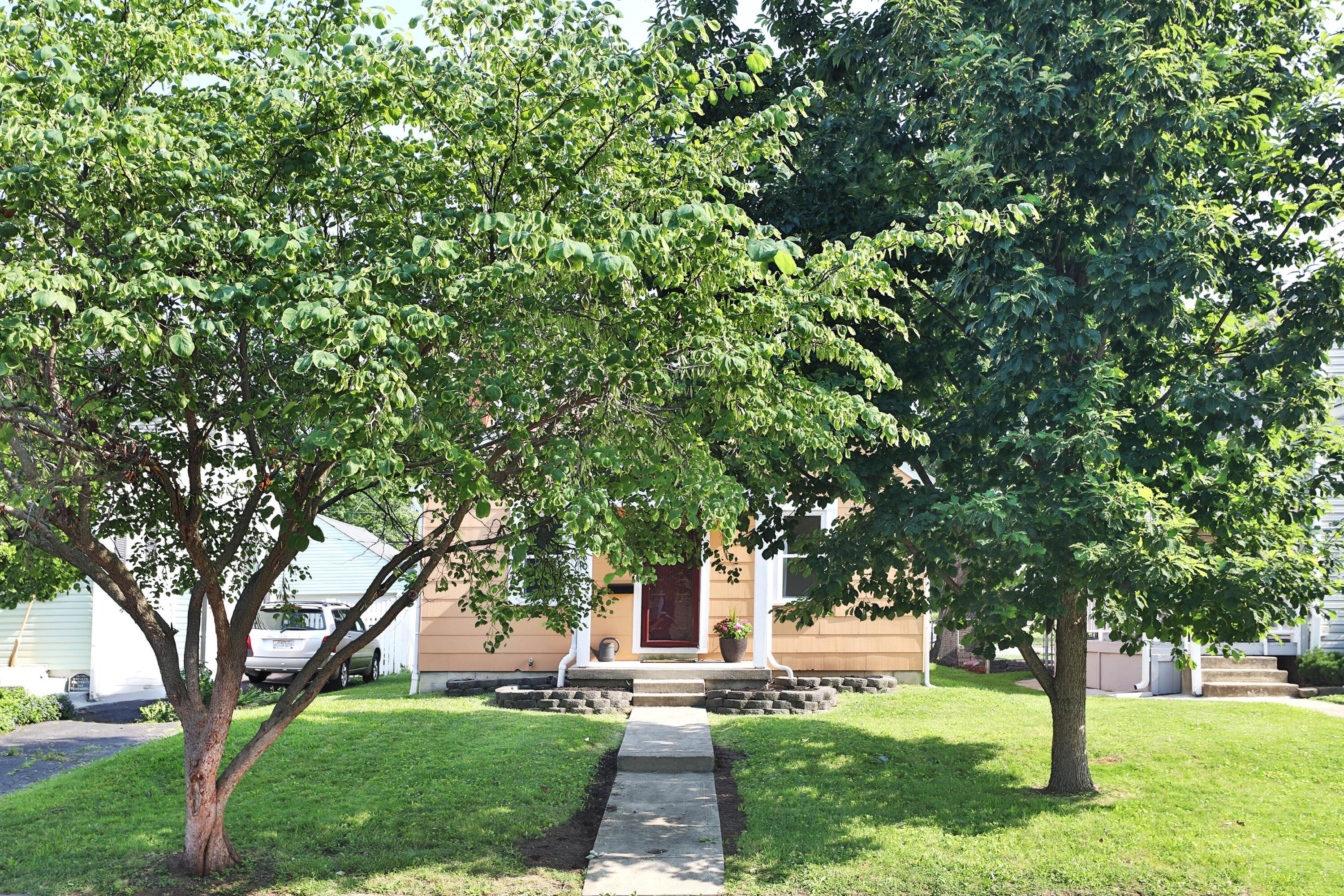 580 Tibet Road