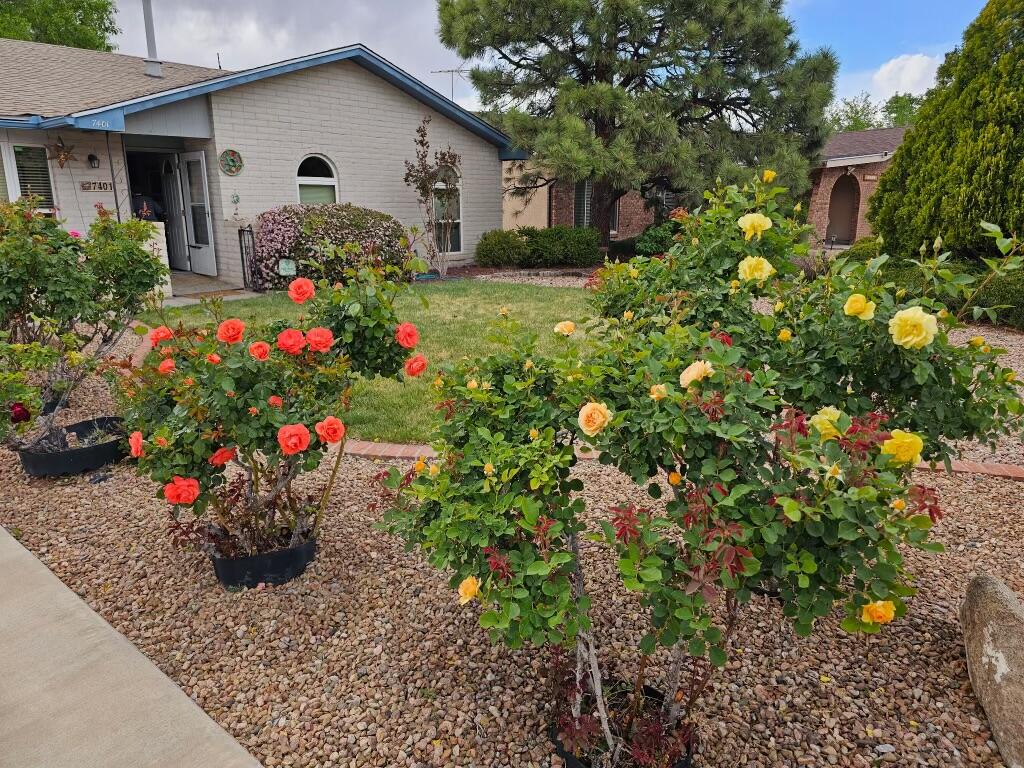 7401 VOLUNTEER Street NE