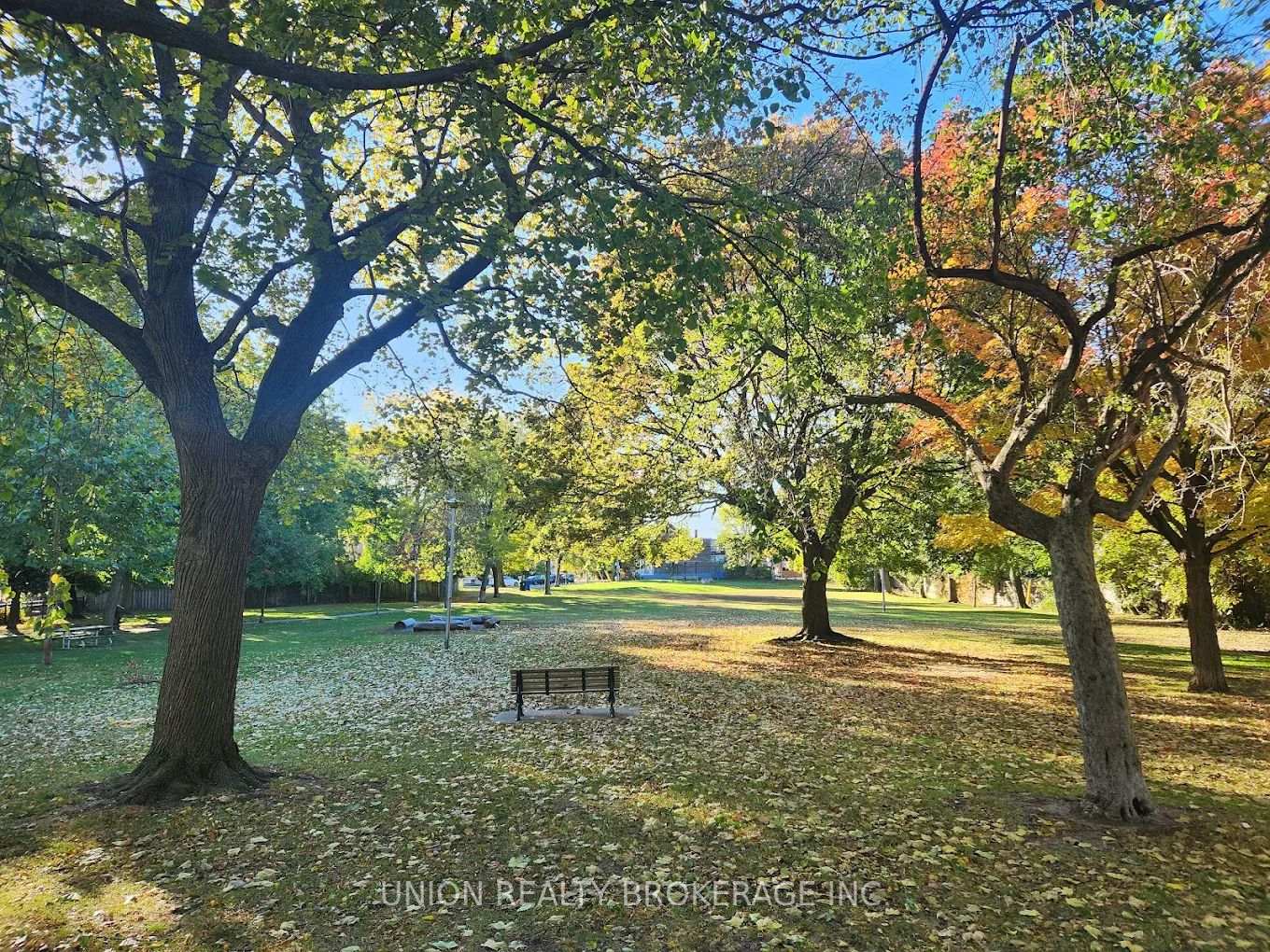 50 Battenberg Avenue 5