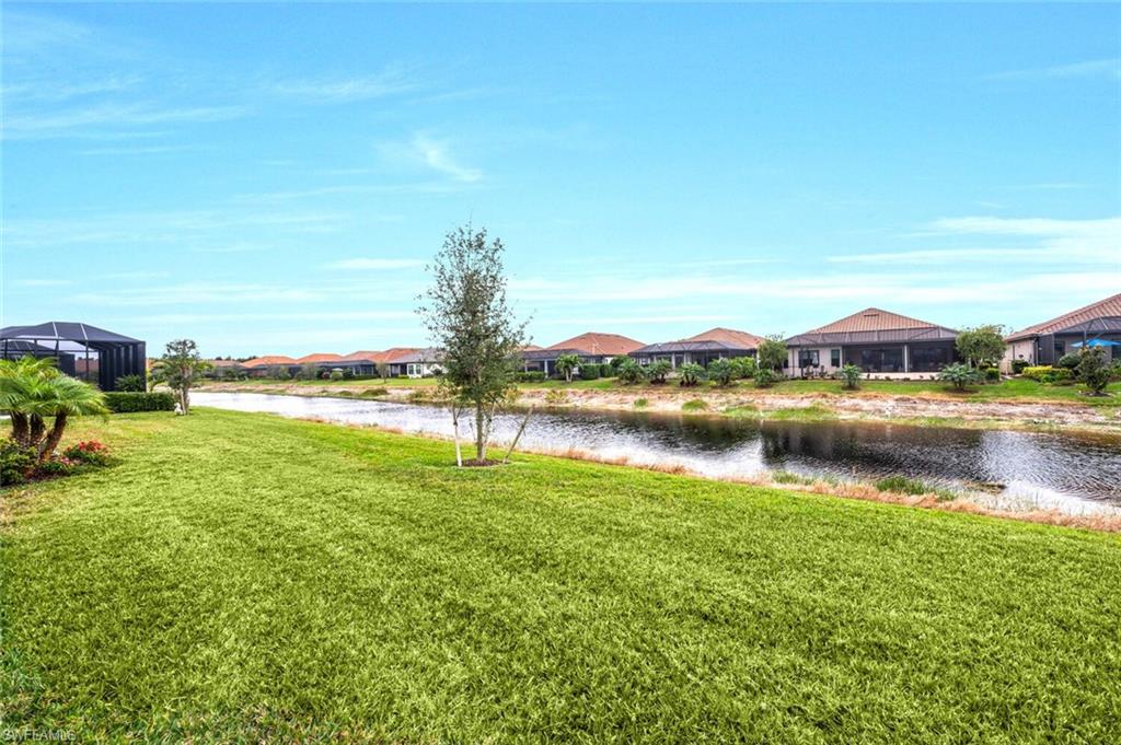 8448 Rosa CT