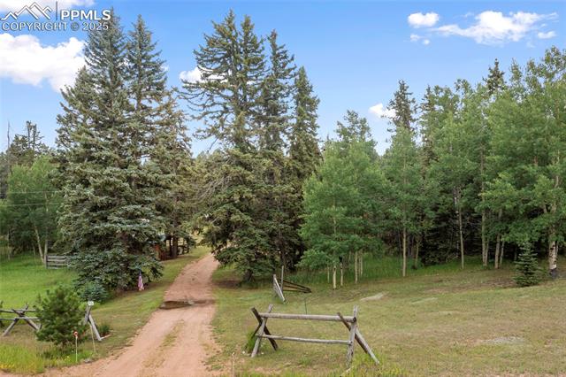 135 Daniwood Grove