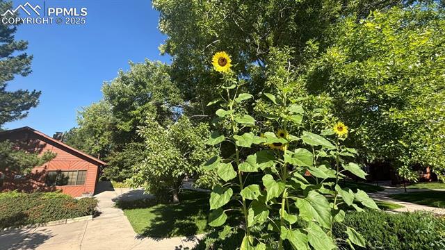 2440 Palmer Park Boulevard 108