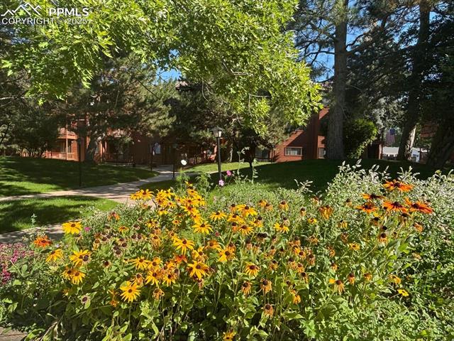 2440 Palmer Park Boulevard 108