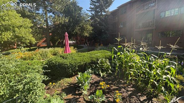 2440 Palmer Park Boulevard 108