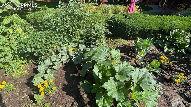 2440 Palmer Park Boulevard 108