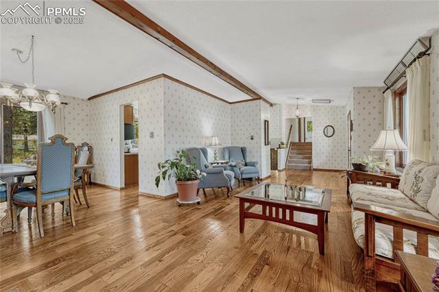 8510 Wilderness Drive