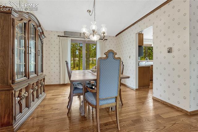 8510 Wilderness Drive