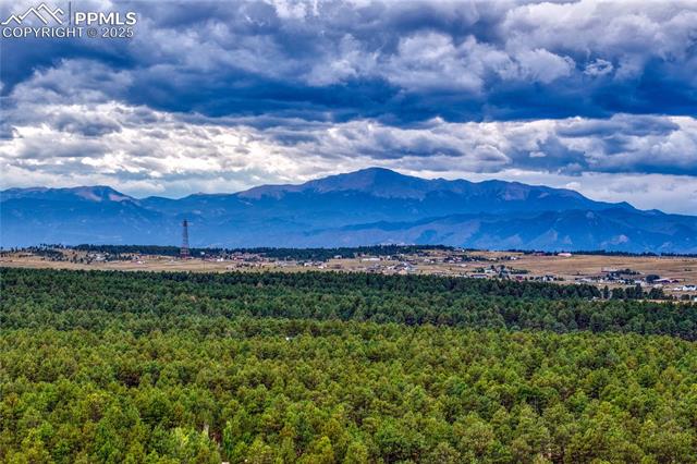 8510 Wilderness Drive