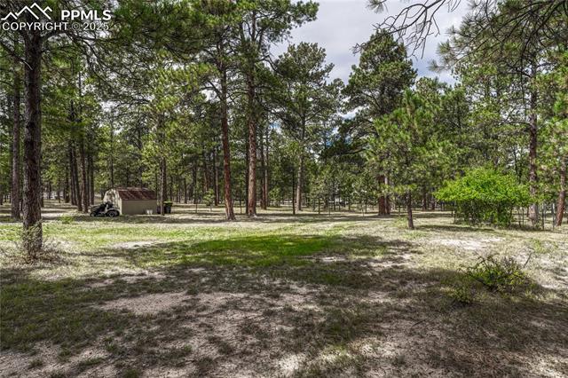 8510 Wilderness Drive