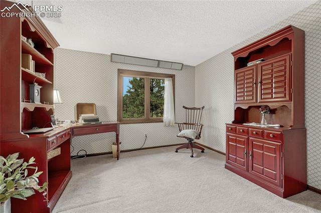 8510 Wilderness Drive