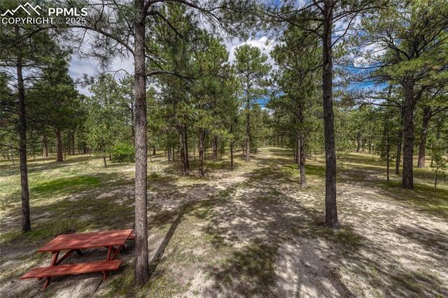 8510 Wilderness Drive