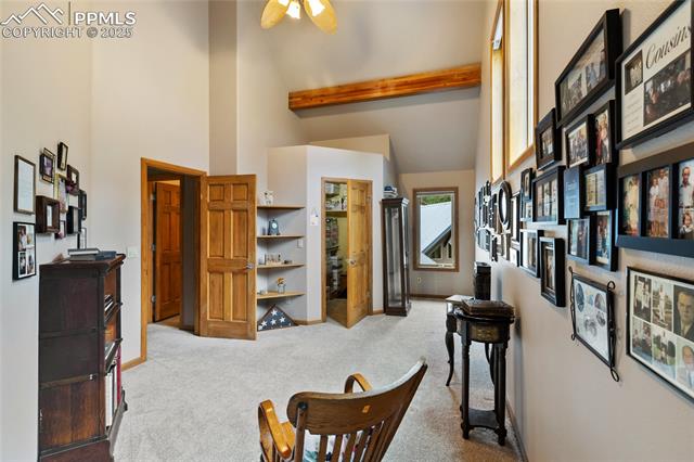 591 Skyline Drive