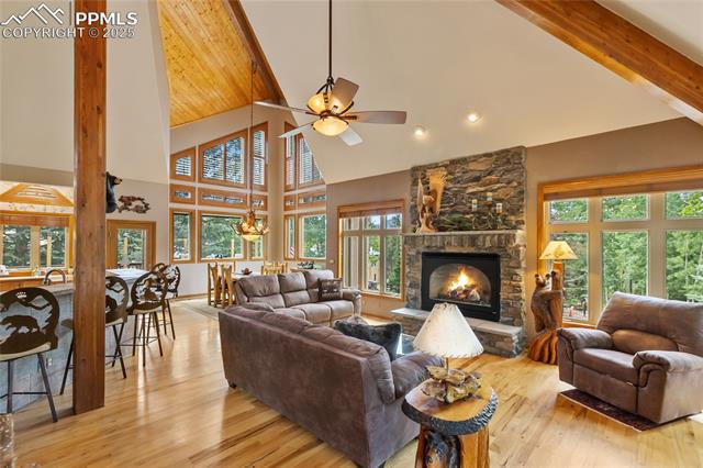 591 Skyline Drive