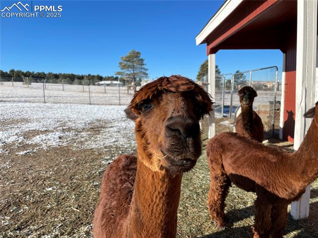 16845 High Tree Drive