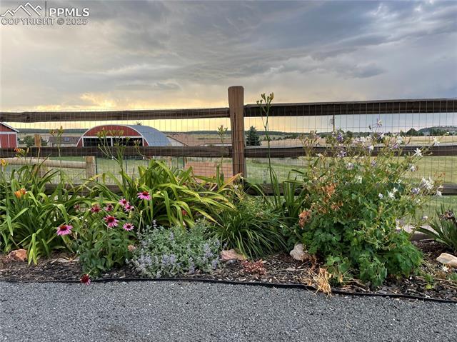 16845 High Tree Drive