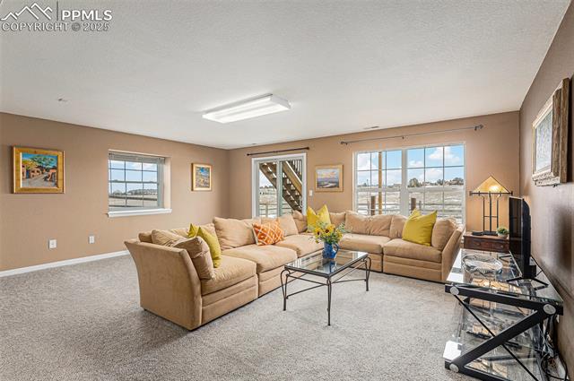 16845 High Tree Drive