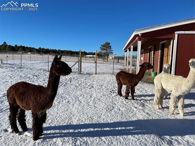 16845 High Tree Drive