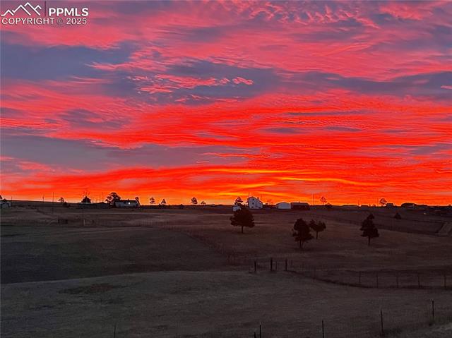 16845 High Tree Drive