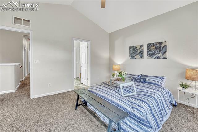 4223 Alder Springs View