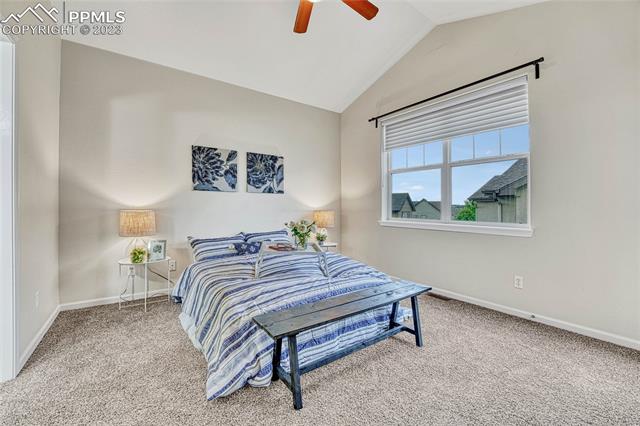 4223 Alder Springs View