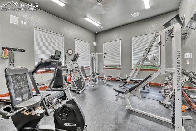 4223 Alder Springs View