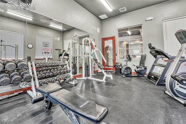 4223 Alder Springs View
