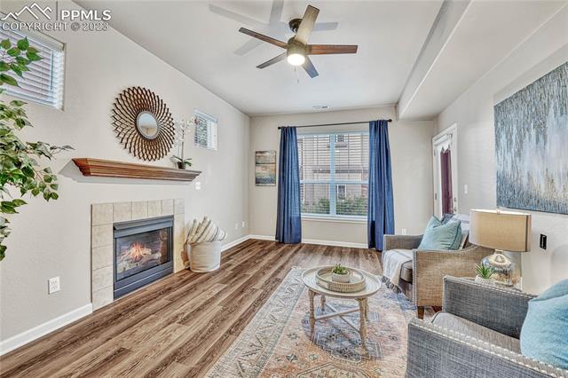 4223 Alder Springs View