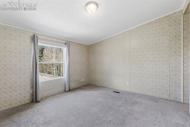 854 W Bison Creek Trail