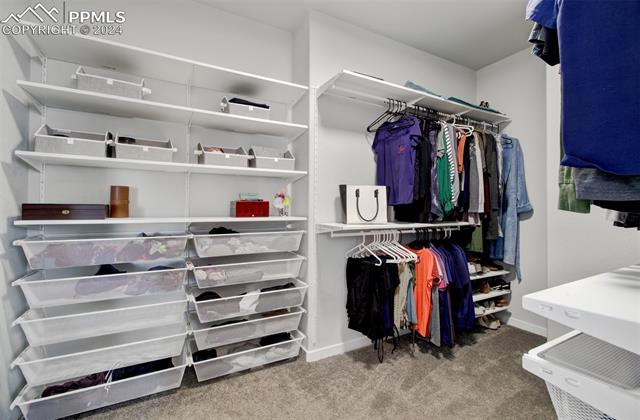 2342 SOLTERRA Street