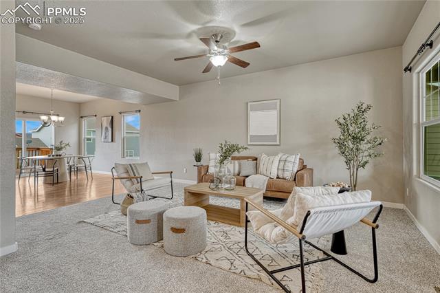 11298 Scenic Brush Drive