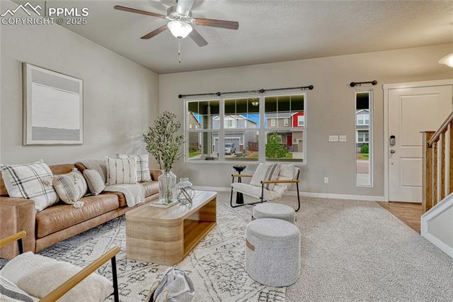 11298 Scenic Brush Drive