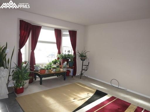 4512 Clark Fork Place