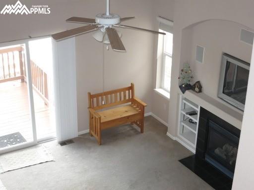 4512 Clark Fork Place