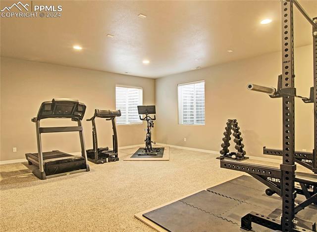 10767 Blanca Peak Court