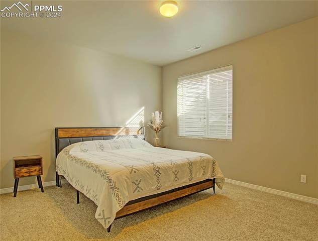 10767 Blanca Peak Court