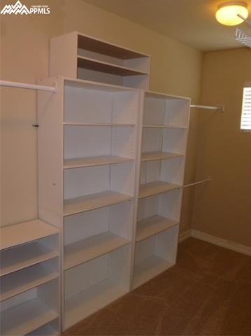 8104 Knotty Alder Court