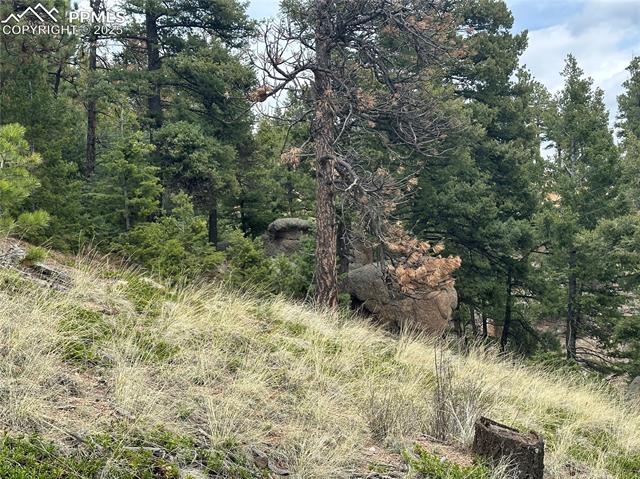 275 Upper Vista Road