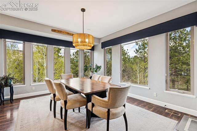20413 Bald Mountain Court