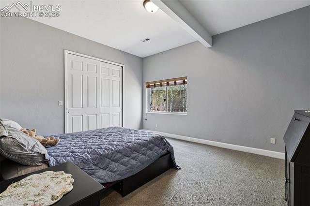 20413 Bald Mountain Court