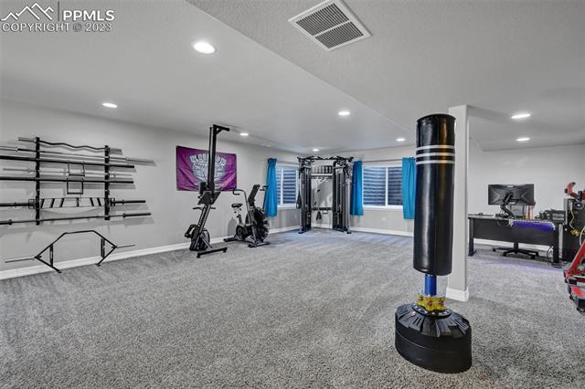 10002 Emerald Vista Drive