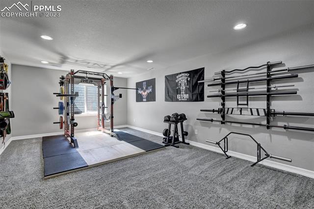 10002 Emerald Vista Drive