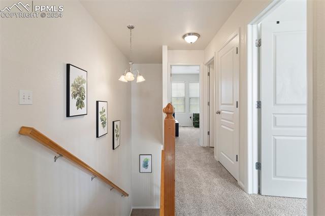 6817 Hidden Hickory Circle