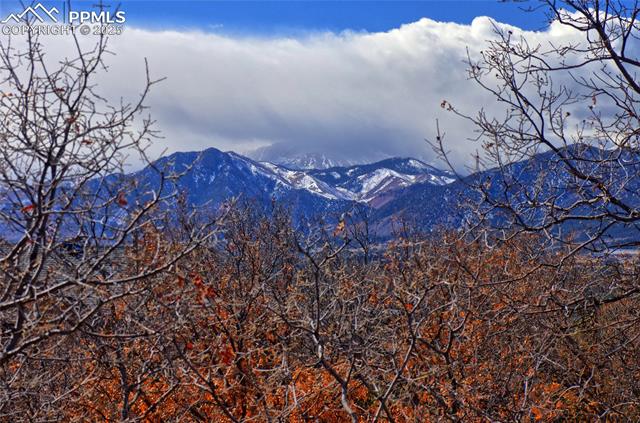 15130 Thornbird Court