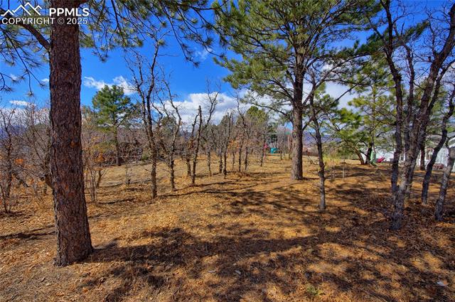 15130 Thornbird Court