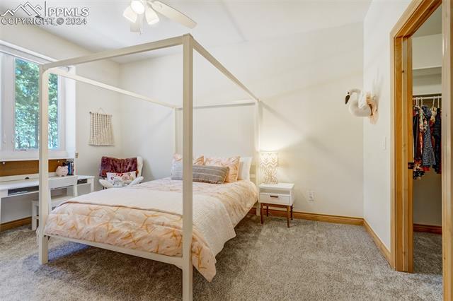 3782 Mountain Dance Drive